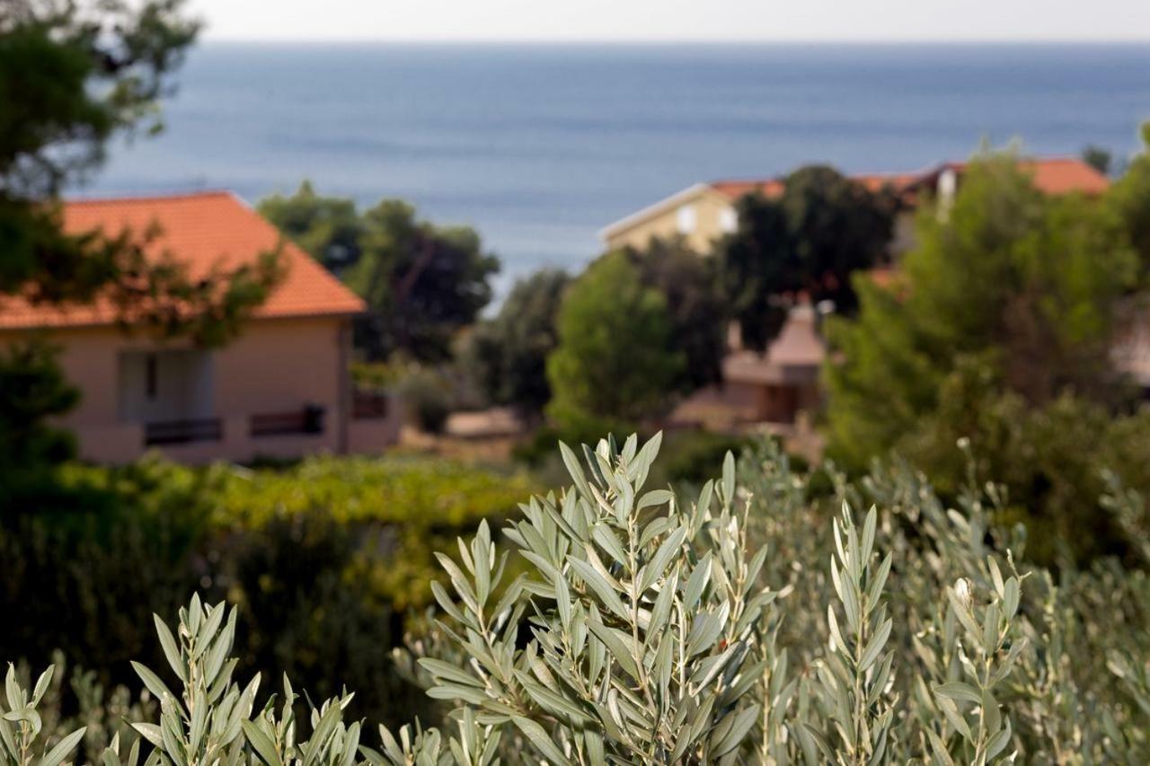Apartments Balic Ivan Dolac Esterno foto